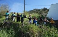 La Asociación ARBA lleva a cabo la plantación de árboles en 