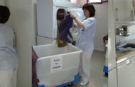 Las trabajadoras de la Ayuda a Domicilio de Almedinilla dan negativo en los test del Covid-19