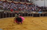 El Coliseo de Almedinilla acogerá la final de las novilladas en Clase Práctica, tras la reorganización por el Covid-19