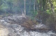 Extinguido el incencio del paraje del Arroyo Granada