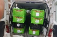 El Ayuntamiento de Almedinilla reparte los alimentos de los programas Reparto de Alimentos Preparados COVID-19 y Refuerzo de Alimentación Infantil SYGA