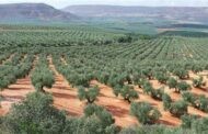 APORTACIONES A LA HOJA DE RUTA DE LA UNIÓN EUROPEA PARA EL DISEÑO 