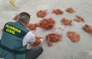 La Guardia Civil detiene a una persona en Villafranca y recupera cable de cobre sustraído