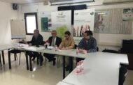 Los clientes de Almazaras de la Subbética podrán seguir el proceso de producción telemáticamente