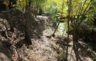 El Ayuntamiento de Almedinilla limpia el tramo urbano del río Caicena