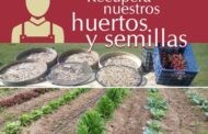 Consigue, dona o intercambia semillas y recupera la huerta tradicional de nuestra provincia