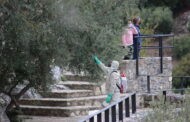 La tasa de contagio en la Subbética sube hasta los 573 casos por cada 100.000 habitantes