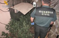 La Guardia Civil detiene a dos personas por cultivo y elaboración de droga en Cañete de las Torres
