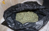 La Guardia Civil desmantela una plantación de marihuana en Palma del Río y detiene a una persona