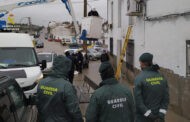 La Guardia Civil desmantela una plantación de marihuana en Bujalance, detiene a una persona e investiga a otras 25 como supuestos autores de un delito de defraudación de fluido eléctrico