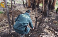 El SEPRONA de la Guardia Civil de Baena investiga a una persona como supuesta autora de un delito de incendio forestal