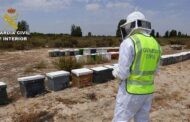 La Guardia Civil detiene a dos personas como supuestos autores de un delito de hurto de colmenas