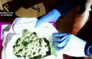 La Guardia Civil detiene en Baena a seis personas por varios delitos relacionados con el cultivo de drogas