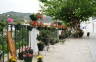 Ya tenemos ganadores de la II edición del concurso “Almedinilla FloresFest”
