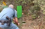 EL SEPRONA investiga a una persona en La Granjuela como supuesto autor de un delito contra la flora, la fauna y los animales domésticos