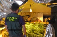 Guardia Civil desmantela una plantación de marihuana en Montilla y detiene a dos personas