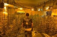 La Guardia Civil desmantela dos plantaciones de marihuana en Almodóvar del Río y detiene a dos personas