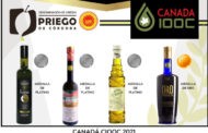 Cuatro AOVE’S amparados bajo la D.O.P. Priego de Córdoba galardonados en Canadá
