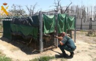 El SEPRONA investiga a una persona como supuesta autora de un delito de maltrato animal