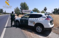 La Guardia Civil detiene a una persona por su autoría en la comisión de un delito contra la flora y la fauna