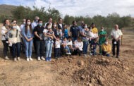 Almazaras de la Subbética apuesta por la protección de la variedad autóctona de la DOP Priego de Córdoba