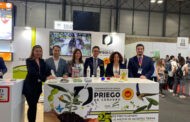 La DOP Priego de Córdoba cierra con éxito rotundo la 34 edición del Salñon de Gourmets