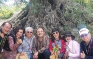 Del mar de olivos cordobés a la Torre de Hércules en a Coruña