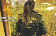 La Guardia Civil desmantela una plantación de marihuana tipo “indoor” de alto rendimiento en La Carlota