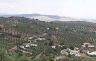 Almedinilla tiene la segunda tasa de incidencia de Covid-19 más baja de este mes de marzo