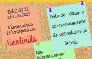 Curso poda del olivar y aprovechamiento subproducto de la poda