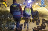 La Guardia Civil y la Policía Nacional desmantelan en Monturque una plantación de marihuana tipo “indoor” de alto rendimiento