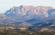 La Junta Rectora del Parque Natural de las Subbéticas aprueba su Plan de Objetivos para 2023