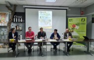 La DOP Priego de Córdoba pone en marcha la VIII Edición del Mes del Aceite