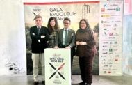 La Guía Evooleum 2023, de los 100 mejores aceites de oliva virgen extra del mundo, otorga el primer puesto al ecológico cordobés Rincón de la Subbética Altitude