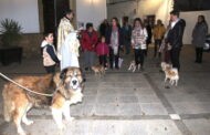 Los vecinos de la aldea de Las Sileras celebran la festividad de San Antonio Abad
