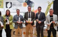 Los aceites de oliva virgen extra más premiados del mundo baten récord de actividades en la cumbre de la gastronomía mundial