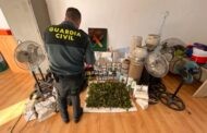 La Guardia Civil desmantela en Baena una plantación “indoor” de marihuana y detiene a una persona