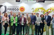 Demostraciones, catas, show cooking, oleoturismo, un sinfín de actividades para dar a conocer las singularidades de la D.O.P. Priego de Córdoba