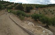 Recientemente se han iniciado varias obras de mejora de caminos rurales en nuestro término municipal, obras que se prevé estén terminadas en los próximos días y previo el inicio de la temporada de recolección de aceituna, al objeto de que la incidencia sobre la misma sea mínima.
