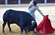 Manuel Domínguez embruja Almedinilla con una faena para el recuerdo.