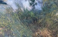 Un incendio calcina entre 6.000 y 7.000 metros cuadrados en Las Llanás de Almedinilla