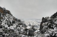 Sobre la vida y la angustia existencial de un muñeco de nieve