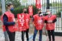 La Guardia Civil desarticula un grupo criminal dedicado al hurto de piñas que operaba en las provincias de Córdoba y Huelva