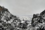 Sobre la vida y la angustia existencial de un muñeco de nieve