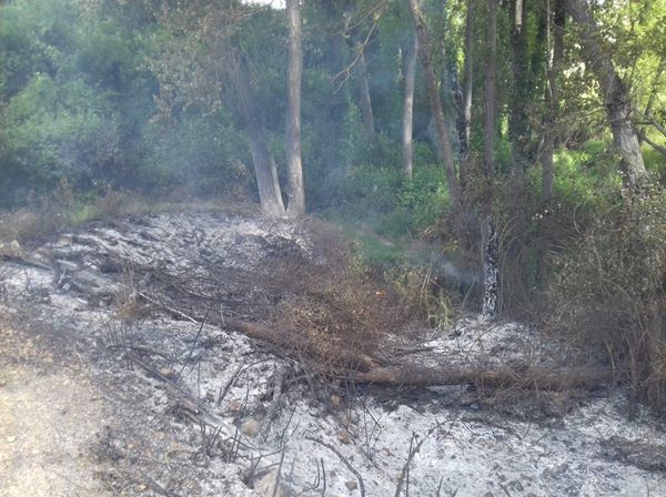 Extinguido el incencio del paraje del Arroyo Granada