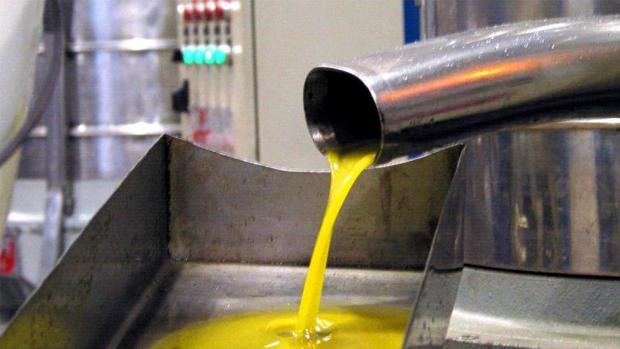 Nueva York se rinde a los aceites de la denominación Priego de Córdoba