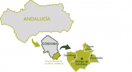 Tratamiento aéreo contra la Mosca del Olivo