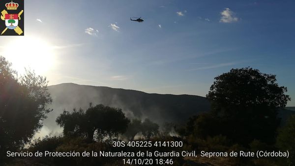 Controlado un incendio forestal en Fuente Grande