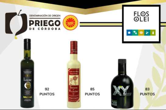 Tres empresas amparadas por la D.O. incluidas en la prestigiosa guía Flos Olei 2021