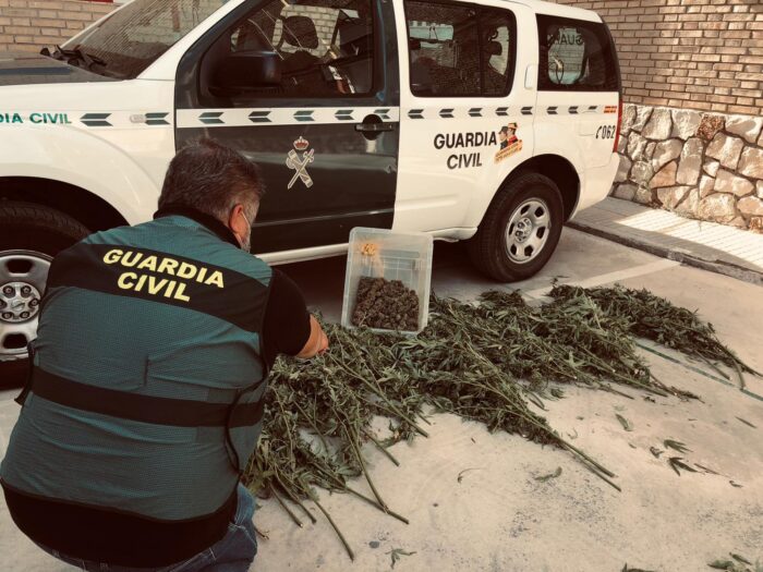 La Guardia Civil desmantela una plantación de marihuana en Palenciana y detiene a una persona